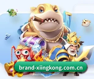 了解平台 - 体育资讯内容服务 | xingkong