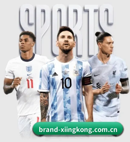 五个功能入口,赛程查询路径更短 - 多运动项目内容板块 | xingkong